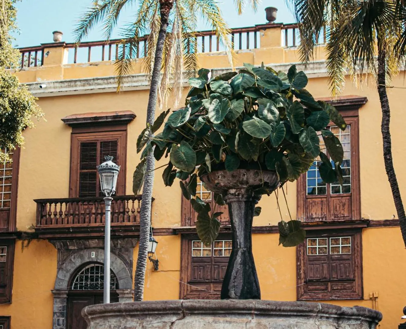 Las Casitas Del Bebedero - Yoga & Ecoturismo Icod De Los Vinos